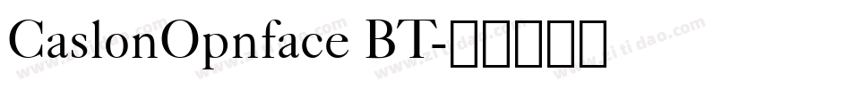 CaslonOpnface BT字体转换